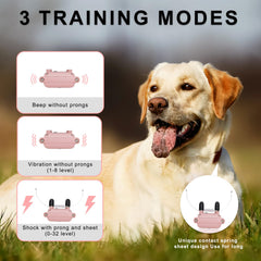 Pikabiu dual-collar set supports training two pets simultaneously.