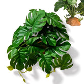 PIKAZISO fake Monstera Deliciosa adds natural aesthetics for terrarium scenery and hides