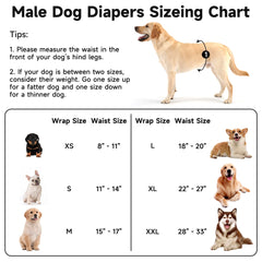 Pilviset belly band blue XXL worn on dog for reliable leak protection.