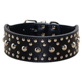 Pimaodog studded collar close-up shows durable PU leather and secure D-ring for daily walks