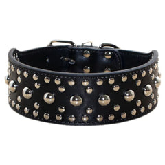 Pimaodog studded collar close-up shows durable PU leather and secure D-ring for daily walks