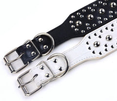 Pimaodog studded dog collar metal hardware closeup showing nickel-plated hardware