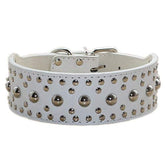 Pimaodog studded dog collar white front view ideal for daily walks