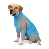 Pinellia dog recovery suit protecting abdominal wounds and bandages for post-op care.