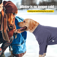 Pinellia dog winter coat full-body snowsuit shows comprehensive cold protection.