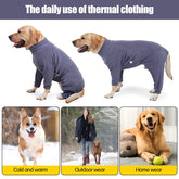 Pinellia dog winter coat side-worn grey demonstrates mobility during outdoor play.