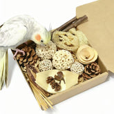 PINEPOP Sola Ball Foraging Box enrichment with varied textures for parrots.
