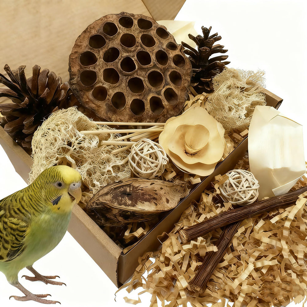 PINEPOP lotus pod foraging box close-up showing natural chew materials for birds