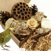 PINEPOP lotus pod foraging box close-up showing natural chew materials for birds