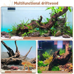 PINVNBY driftwood bearded dragon perch provides enrichment and climbing space in terrariums