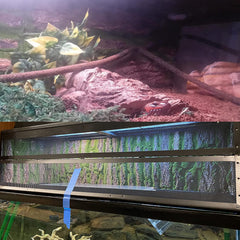 PINVNBY bearded dragon tank setup features easy-to-cut backdrop