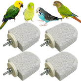 PINVNBY ice-cream shaped bird perch enhances cage visuals and safe chewing.