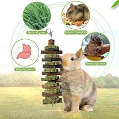 PINVNBY Bunny chew natural apple branches encourage safe chewing and mood-boosting exploration.