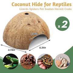 PINVNBY coconut hide with textured surface invites climbing and enrichment.
