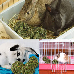 PINVNBY hay ball in a pet setup for enrichment