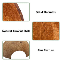 PINVNBY natural coconut hide blends with terrariums for a natural habitat look.