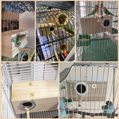 PINVNBY parakeet nesting box arc design for stability and shelter