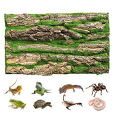 PINVNBY reptile cork background front view with natural bark texture for enclosures