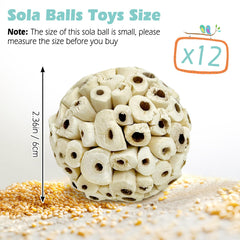 PINVNBY Sola balls for small birds support foraging curiosity during play