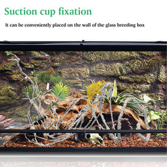 PINVNBY suction-cup installation keeps vines secure in humid tanks.