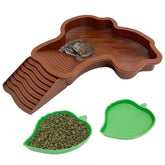 PINVNBY tortoise water dish closeup showing durable plastic for easy cleaning and daily hydration