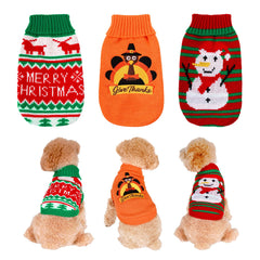 Pistha Christmas turkey-pattern sweater on a small dog for festive photos.