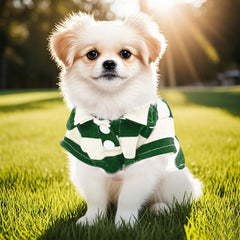 Pistha dog shirt polo striped green white belly-cut close-up illustrates easy bathroom access