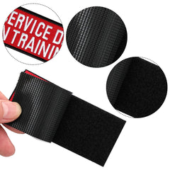 Pistha in-training patches pack for easy labeling during training.