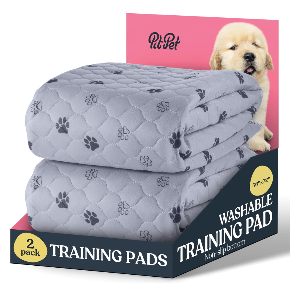Pitpet front-view pee pad 2-pack demonstrates home training protection for floors.