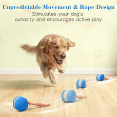 PJC Interactive Dog Toy motion-activated play sensors spark fun sessions for dogs.