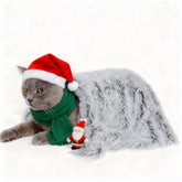 PJYuCien fluffy fleece blanket small 16x24 on sofa adds cozy comfort for pets