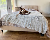 PJYuCien large dog blanket 80x60 shows cozy warmth with reversible fleece-sherpa.