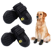 PK.ZTopia waterproof dog boots show paw protection for outdoor adventures.