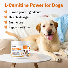 PKperekond dog energy and vitality in motion demonstrates potential for increased activity.