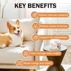 PKperekond l-carnitine dogs supplement capsule closeup shows energy and lean muscle support.