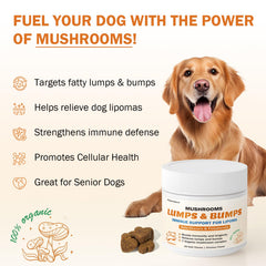 PKperekond seven-mushroom blend ingredients label — premium immuno-support with beta-glucans.