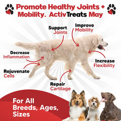 Planopaws ActivTreats ingredient list shows glucosamine, chondroitin, MSM for joints.