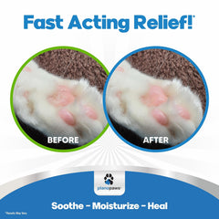 Planopaws paw balm on cat's nose for protection and moisture.
