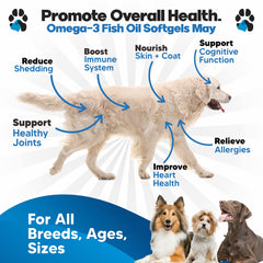 Planopaws Omega-3 dog softgel capsules ready to swallow for healthier coat.