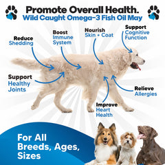 Planopaws Omega-3 Dogs pump-dispense makes feeding easy, supporting joint health.