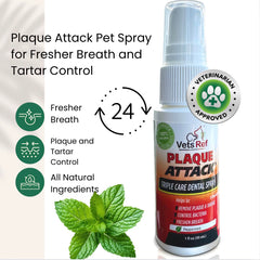 Plaque Attack application tip demonstrates daily use for reducing plaque buildup in dogs.