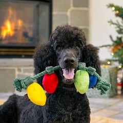 P.L.A.Y. premium rope dog toy closeup shows double-stitch durability for long-lasting fun.