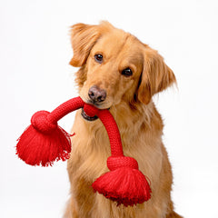 Playology beef-scented Encapsiscent toy displays embedded aroma.