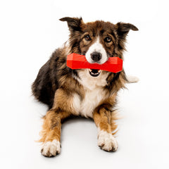 Playology Encapsiscent natural scent toy offers lasting aroma during play.