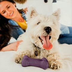 Playology dual-layer bone closeup reveals bacon scent and texture detail