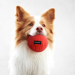 Playology easy-clean dog toy showing machine-washable design.