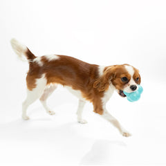 Playology easy-to-clean dog toy rinses quickly after muddy outdoor adventures.