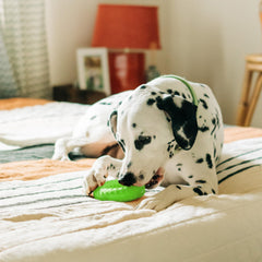 Playology easy-to-clean materials keep toys hygienic after adventures.