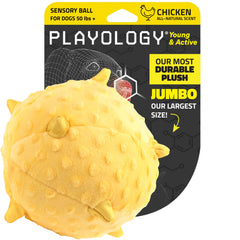 Playology jumbo chicken-scented plush dog ball for extended indoor and outdoor play.
