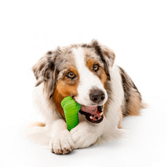 Playology large-dog toy bone emphasizing jumbo size designed for 50 lbs+ breeds.